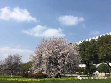 常州工程校园一景-1.webp.jpg