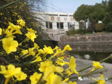 常州工程校园一景-10.webp.jpg