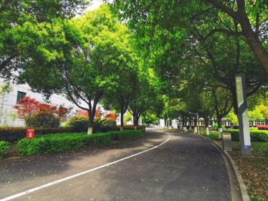 工程春景-10.jpg