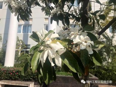 常州工程校园一景-20.webp.jpg