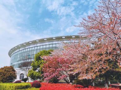 工程春景-8.jpg